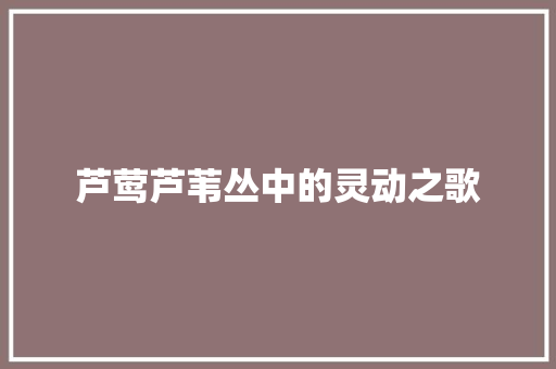芦莺芦苇丛中的灵动之歌