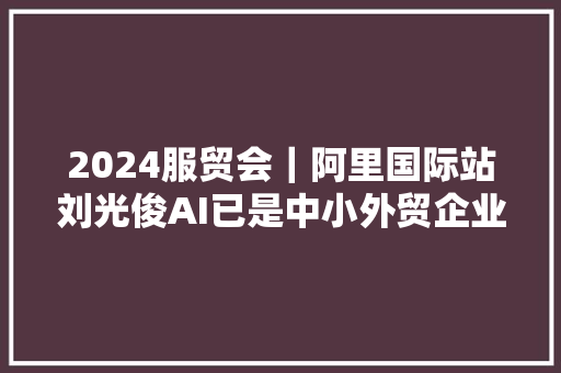 2024服贸会｜阿里国际站刘光俊AI已是中小外贸企业的标配