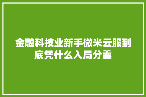 金融科技业新手微米云服到底凭什么入局分羹
