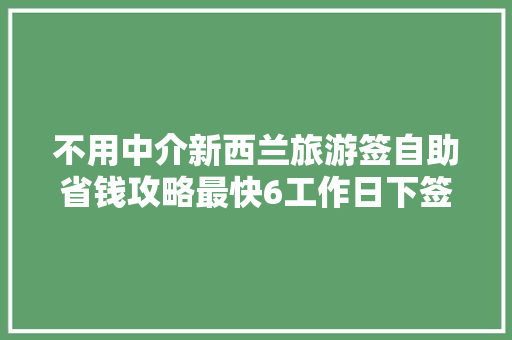 不用中介新西兰旅游签自助省钱攻略最快6工作日下签
