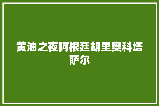 黄油之夜阿根廷胡里奥科塔萨尔
