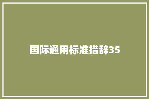 国际通用标准措辞35