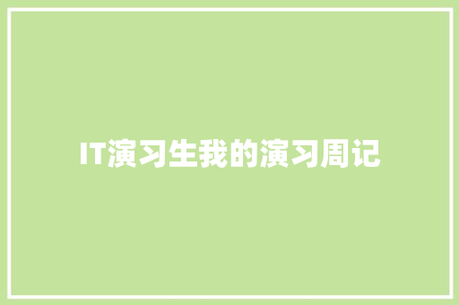 IT演习生我的演习周记