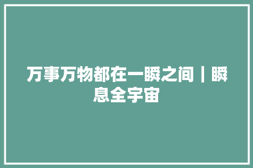万事万物都在一瞬之间｜瞬息全宇宙