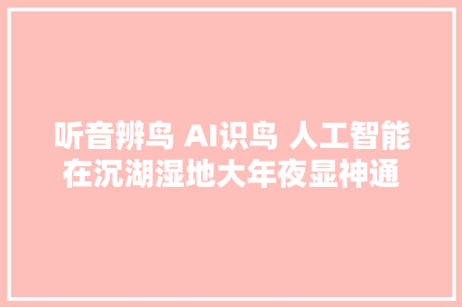 听音辨鸟 AI识鸟 人工智能在沉湖湿地大年夜显神通