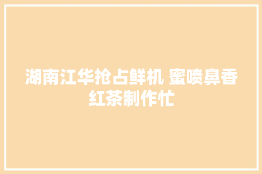 湖南江华抢占鲜机 蜜喷鼻香红茶制作忙