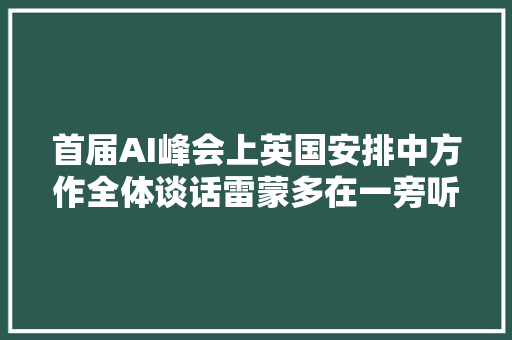 首届AI峰会上英国安排中方作全体谈话雷蒙多在一旁听得很负责