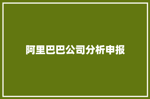 阿里巴巴公司分析申报