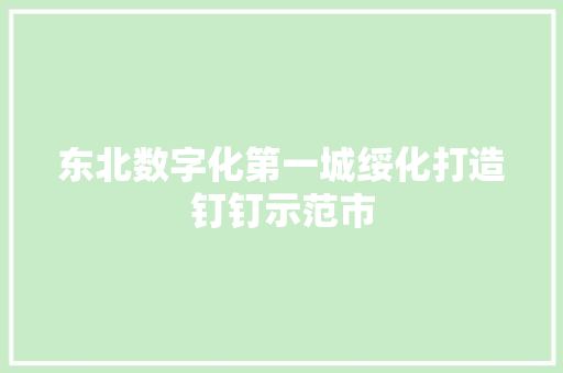 东北数字化第一城绥化打造钉钉示范市