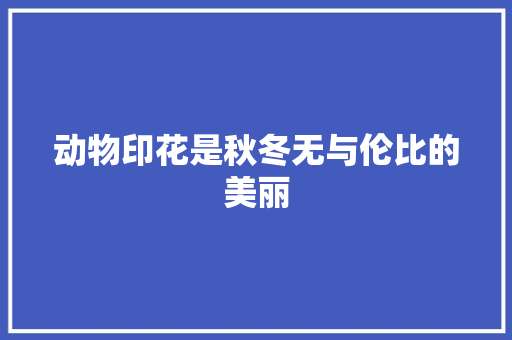 动物印花是秋冬无与伦比的美丽