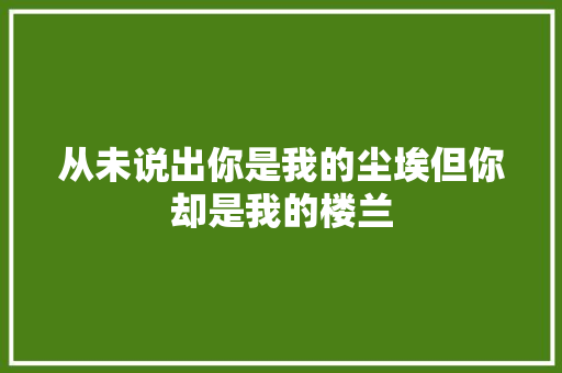 从未说出你是我的尘埃但你却是我的楼兰