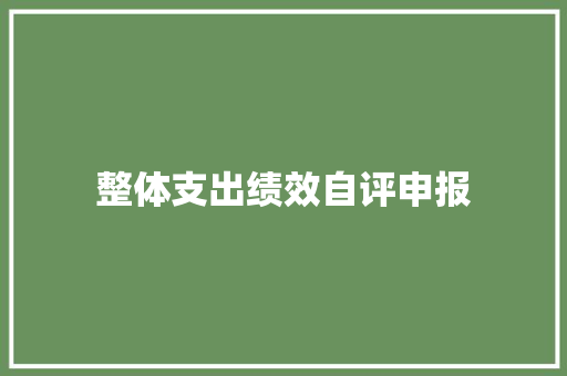 整体支出绩效自评申报
