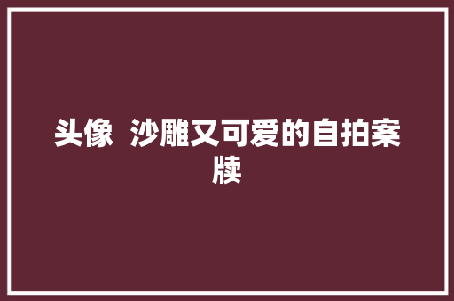 头像  沙雕又可爱的自拍案牍