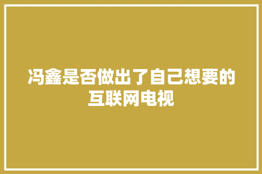 冯鑫是否做出了自己想要的互联网电视