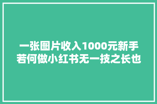 一张图片收入1000元新手若何做小红书无一技之长也可做