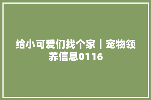 给小可爱们找个家｜宠物领养信息0116