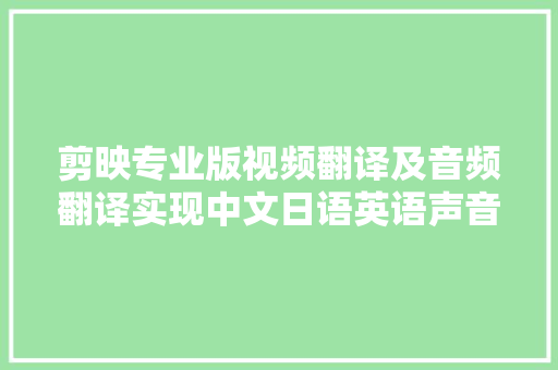 剪映专业版视频翻译及音频翻译实现中文日语英语声音同声传译