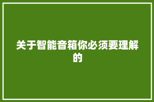 关于智能音箱你必须要理解的