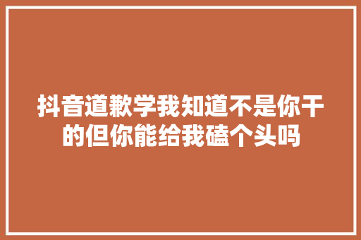 抖音道歉学我知道不是你干的但你能给我磕个头吗