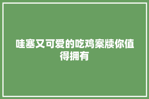 哇塞又可爱的吃鸡案牍你值得拥有