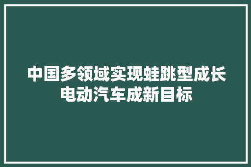 中国多领域实现蛙跳型成长电动汽车成新目标