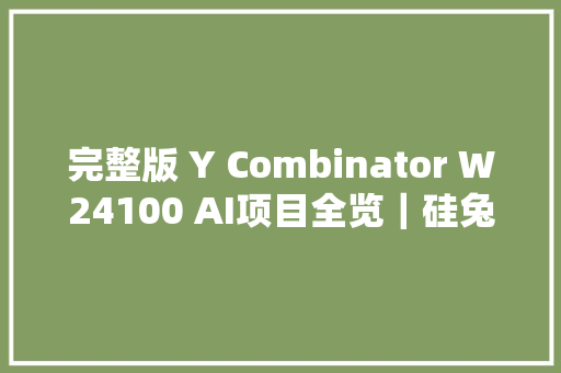 完整版 Y Combinator W24100 AI项目全览｜硅兔独家