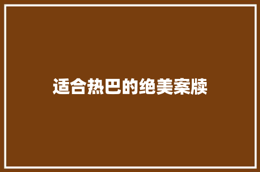 适合热巴的绝美案牍
