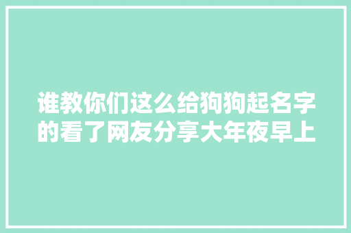 谁教你们这么给狗狗起名字的看了网友分享大年夜早上给我笑醒了