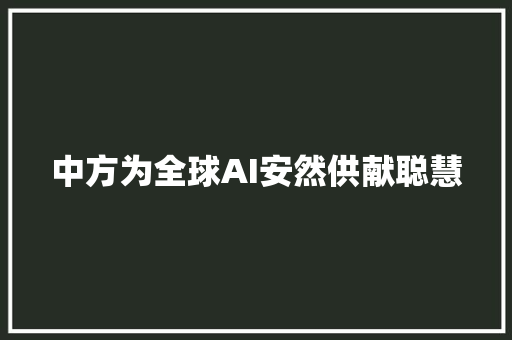 中方为全球AI安然供献聪慧