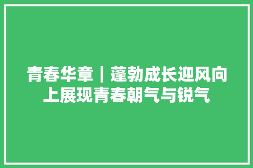 青春华章｜蓬勃成长迎风向上展现青春朝气与锐气