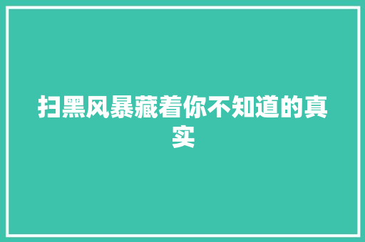扫黑风暴藏着你不知道的真实