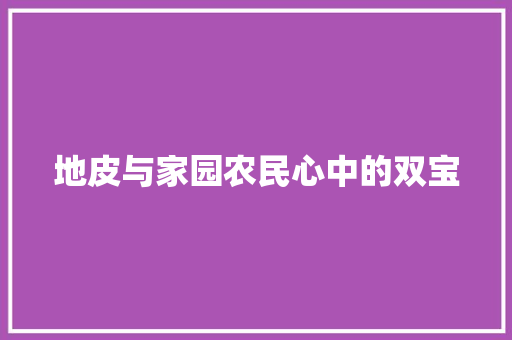 地皮与家园农民心中的双宝