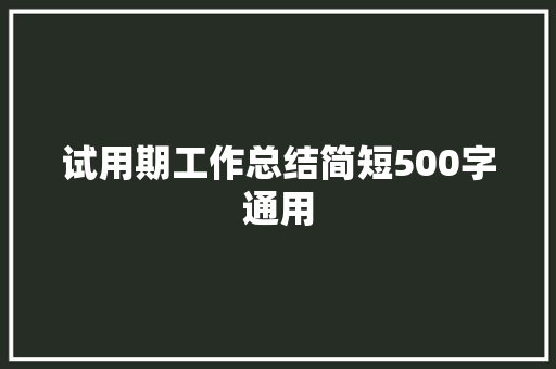 试用期工作总结简短500字通用