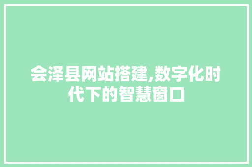 会泽县网站搭建,数字化时代下的智慧窗口