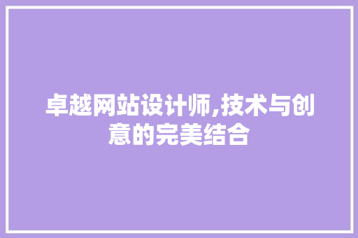 卓越网站设计师,技术与创意的完美结合