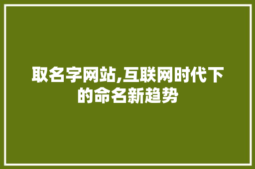 取名字网站,互联网时代下的命名新趋势
