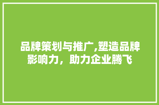 品牌策划与推广,塑造品牌影响力，助力企业腾飞