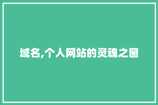 域名,个人网站的灵魂之窗