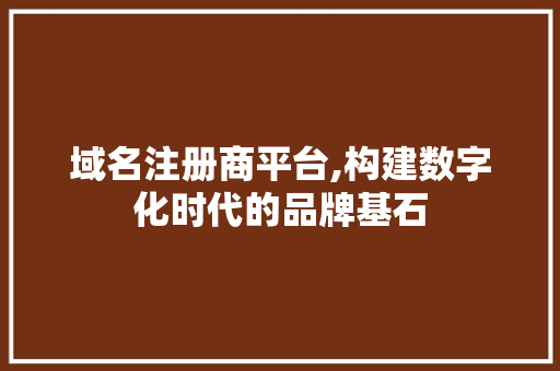 域名注册商平台,构建数字化时代的品牌基石