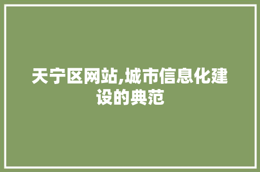 天宁区网站,城市信息化建设的典范