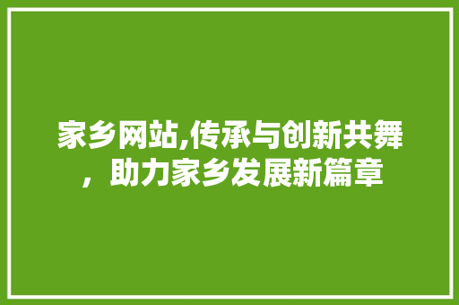 家乡网站,传承与创新共舞，助力家乡发展新篇章