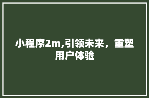 小程序2m,引领未来，重塑用户体验
