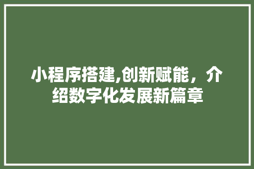 小程序搭建,创新赋能，介绍数字化发展新篇章