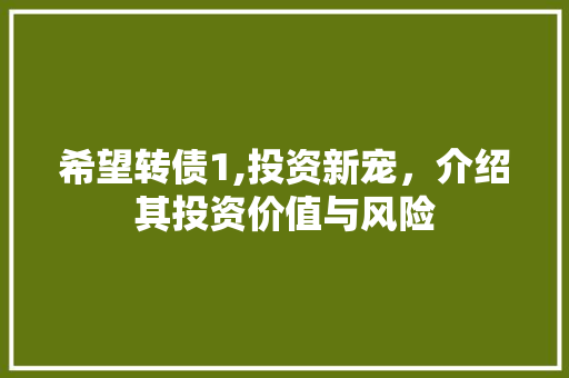 希望转债1,投资新宠，介绍其投资价值与风险