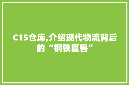 C15仓库,介绍现代物流背后的“钢铁巨兽”