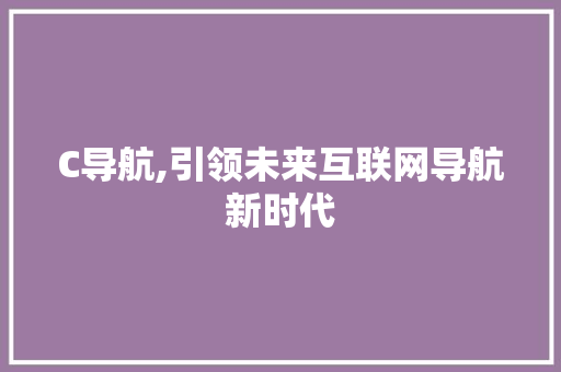 C导航,引领未来互联网导航新时代