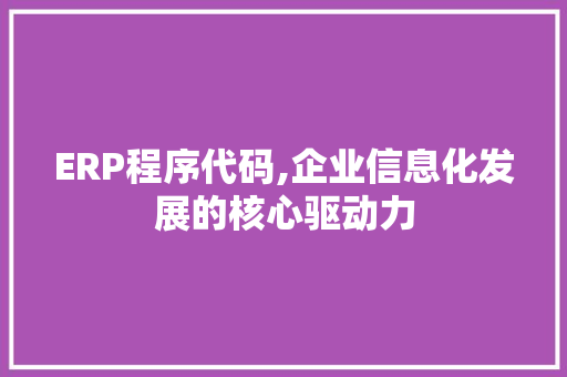 ERP程序代码,企业信息化发展的核心驱动力