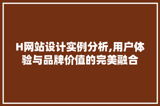 H网站设计实例分析,用户体验与品牌价值的完美融合