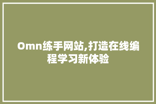 Omn练手网站,打造在线编程学习新体验