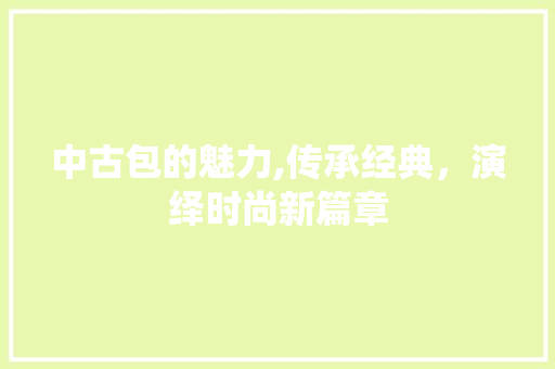 中古包的魅力,传承经典，演绎时尚新篇章